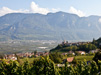 Termeno sulla Strada del Vino, nel Giardino del Sudtirolo