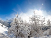 Paesaggio invernale in una splendida giornata di sole