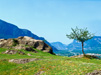 Il Giardino del Sudtirol, vista da Castelfeder