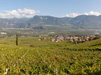 Vista su Termeno, Strada del Vino